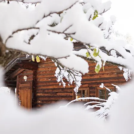 Appartamento Luxury Biochalet Charles *