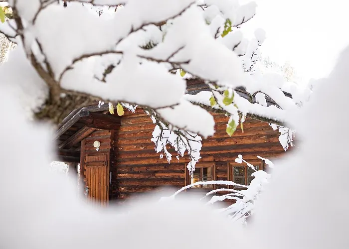 Апартаменти Luxury Biochalet Charles *