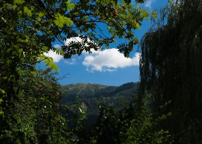 Lejlighed Luxury Biochalet Charles